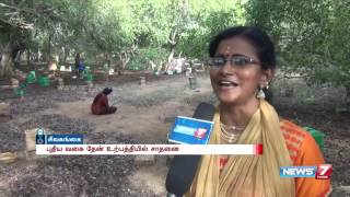 Josephine Selvarajs apiary a beehive of activity in Sivaganga  News7 Tamil [upl. by Cavallaro]