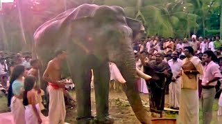 quotഗുരുവായൂർ കേശവന്റെ അവസാന നിമിഷങ്ങൾquot  Adoor Bhasi  Guruvayur Kesavan Climax Scene [upl. by Fasta]