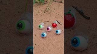 Survival Skills Basic camping tips with eyes candy shorts survival candy camping basictips [upl. by Erlina439]