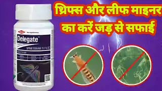 Deligate insecticide use hindi। spinetoram 117 sc insecticide use ।डेलीगेट कीटनाशक। [upl. by Bettye]