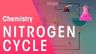 The Nitrogen Cycle  Environmental Chemistry  Chemistry  FuseSchool [upl. by Ahouh]