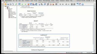 SPSS Regression Analysis [upl. by Ahsemot]