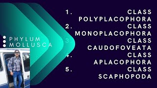 CLASS POLYPLACOPHORA [upl. by Ursi]