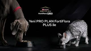 Probiyotik ve prebiyotik içeren özel formüllü Pro Plan FortiFlora Plus [upl. by Malva751]