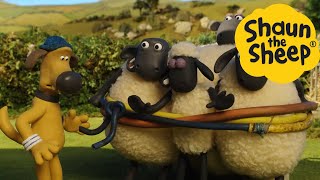 Shaun the Sheep 🐑 Captured Sheep  Cartoons for Kids 🐑 Full Episodes Compilation 1 hour [upl. by Lourie]