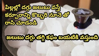 Karpuram Coconut Oil  Camphor Oil Benefits  Benefits Of Camphor  Sudha Kitchen Telugu Vlogs [upl. by Pasia559]