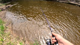 day of fishing at Bronte Creek [upl. by Navap]