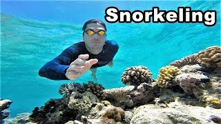 Best Snorkeling in the Philippines [upl. by Broeker3]