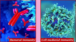 Humoral immunity and Cell mediated immunity [upl. by Eruot]