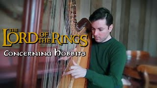 The Lord of the Rings Concerning Hobbits Howard Shore  Harp Cover [upl. by Allin]