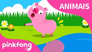 Alguém Viu O Meu Rabinho  Canções de Animais  Pinkfong Canções para crianças [upl. by Ardnuasac]