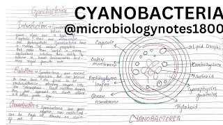 CYANOBACTERIA Blue green algae [upl. by Allak]