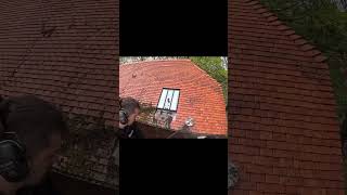 Roof Cleaning cleanhome cleaninghacks cleaninginspiration [upl. by Solitta]