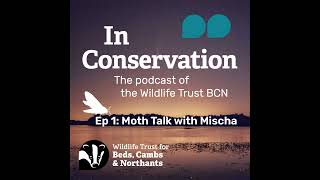 In Conservation Episode 1 Moth Talk with Mischa [upl. by Cappello]