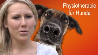 Physiotherapie für Hunde  Praxis Pfote [upl. by Ark]