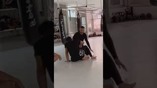 Seated arm drag setup mma brazillianjiujitsu grappling wrestling [upl. by Gloriana]