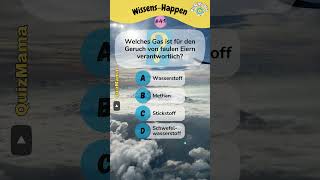 WissensHappen Nr41 – Teste dein Allgemeinwissen shorts quiz allgemeinwissen deutsch [upl. by Fionnula65]