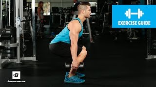 How to Dumbbell Squat  Mike Hildebrandt [upl. by Peale263]