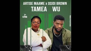 Artise Maame x OgidibrownTamea Wu  Audio Slide [upl. by Giglio]