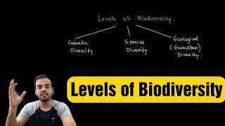 Levels of Biodiversity Genetic Diversity Species Diversity amp Ecological  Ecosystem Diversity [upl. by Mirelle]