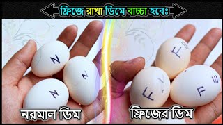 ফ্রিজে রাখা ডিম থেকে কি বাচ্চা ফুটবে ⚡ Jactok পাখি ভাইয়া [upl. by Bubalo]