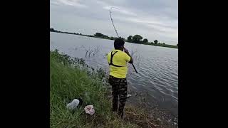 Best Fish Catching By Catching One Big Fish [upl. by Neidhardt]