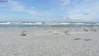 1 h Meeresrauschen Entspannung Wellenrauschen Wellen Strand Meer Ostsee HD [upl. by Daveda]