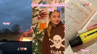 Christbaum schmücken 💗 lustig Vlog Alltag [upl. by Particia]