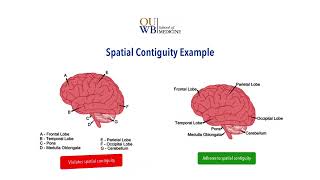 CL6 The Contiguity Principle [upl. by Elletsyrc]