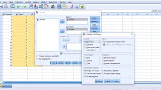 Interrater reliability analysis using McNemar test and Cohens Kappa in SPSS [upl. by Johppah]