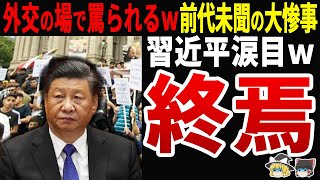 【前代未聞】中国習近平がイメージ払拭のためフランス外交に行った結果…中国離れを痛感して涙目ｗ [upl. by Haissi]