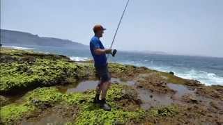 Bocinegros en la Graciosa Machado SurfCasting 2015 [upl. by Ylsew]