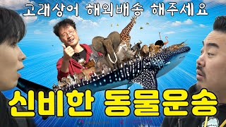 고래상어를 해외로 보내는 신박한 방법 대공개  노예쓰 EP14 동물 해외운송업체 편 Sub [upl. by Atcele]