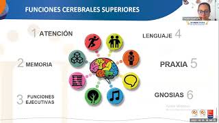 Web 2 neuropsicología funciones cerebrales superiores y Evaluación cognitiva [upl. by Annaeirb187]