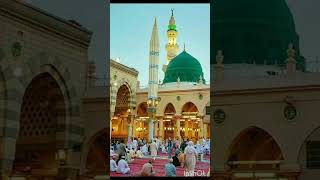 MADINA STUTS viralvideo short [upl. by Eveleen]