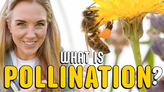 What is pollination  Plants for kids  Beekeeping with Maddie [upl. by Sokil]