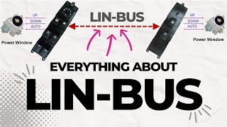 LIN BUS Diagnostics [upl. by Atikcir637]