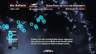 Science Bulletins Ocean Peaks Are Vital for Biodiversity [upl. by Arvo]