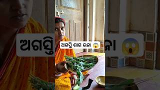 ପଞ୍ଚୁକ ପାଇଁ ବନେଇଛି 😱ନୂଆଅଗସ୍ତି ଶାଗ ଭଜାAgasti Saga Bhajaodia villagefood trendingshortvideo [upl. by Urba]