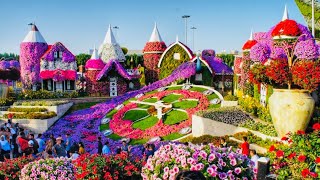 Miracle Garden Dubai 2022  The world’s largest natural flower garden [upl. by Olin596]