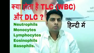 TLC or WBC and DLC test in hindi [upl. by Ahset]