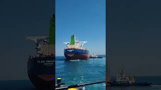 View of VLCC PLATA SINGAPORE  vlcc ship pelayaran vessel travel sailing shorts tanker [upl. by Thamos]