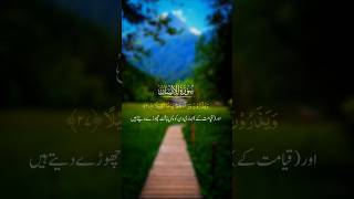 Surah AlInsan  Complete Recitation and ReflectionquotSurahAlInsan QuranRecitation IslamicVideos [upl. by Kidd324]