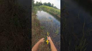 laju sikit bah😭😭😭 borneo sabahsabahantomanharuangabussnakeheadsabahananglerfishing [upl. by Arber]