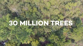 Ecosia users have just planted 30 MILLION trees [upl. by Ylurt]