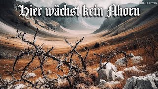 Hier wächst kein Ahorn German FahrtenliedEnglish translation [upl. by Ahseikal715]