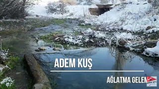 ADEM KUŞ AĞLATMA GELEM 2020 Akustik Türküler [upl. by Nofets366]