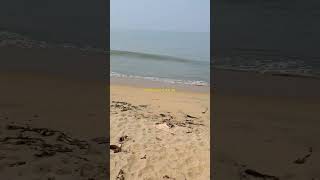 Cherai Beach Kerala [upl. by Icrad]