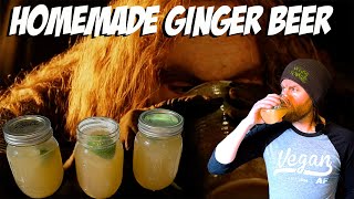 Easy Homemade Ginger Beer [upl. by Russia191]