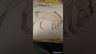 Coloring DeeJayBeStudioss Horse Book Part II music horses [upl. by Llenrub491]